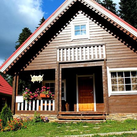 Alpine Ski Chalet Borovets With Sauna Extérieur photo