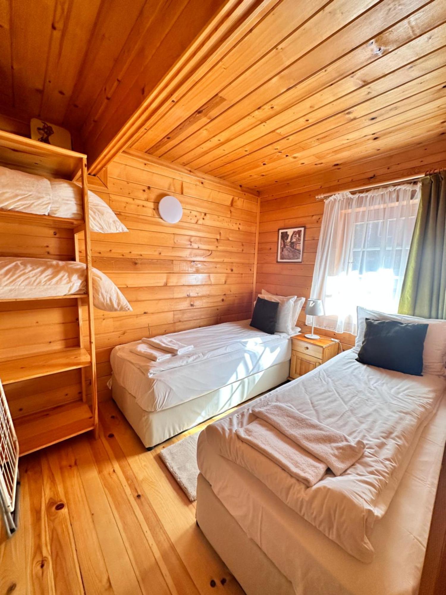 Villa Alpine Ski Chalet Borovets With Sauna Extérieur photo