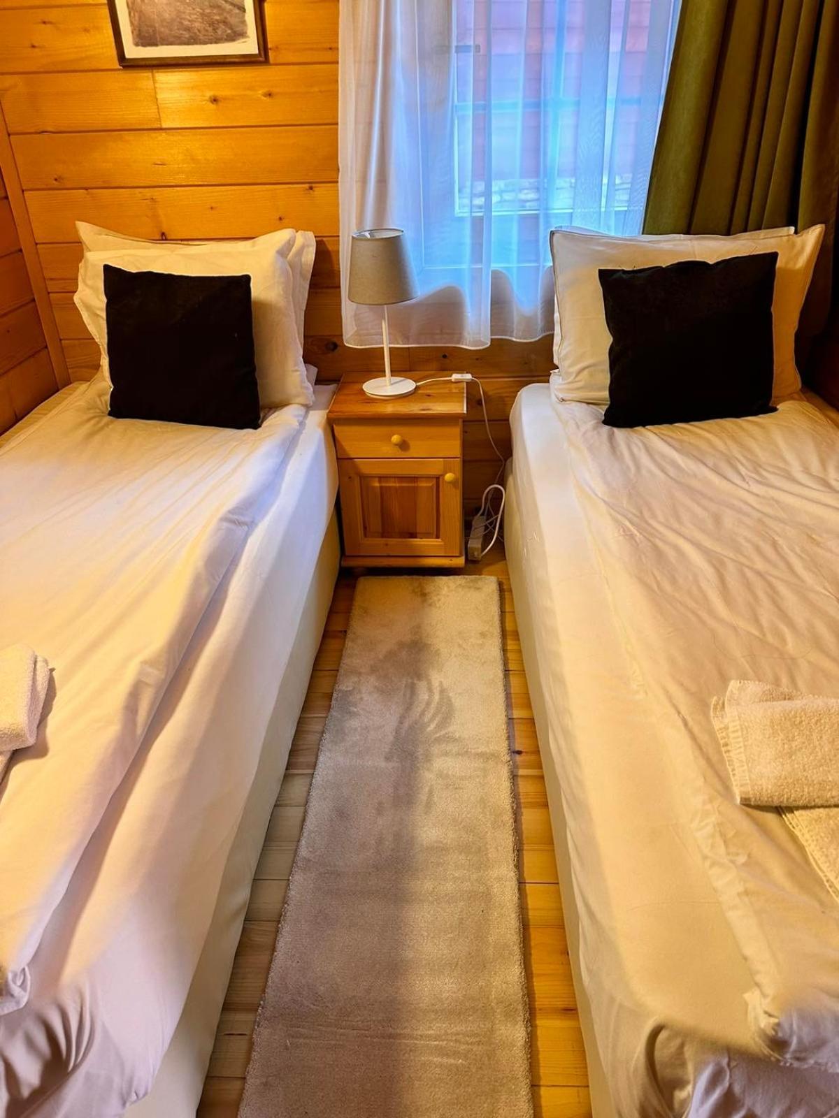 Alpine Ski Chalet Borovets With Sauna Extérieur photo