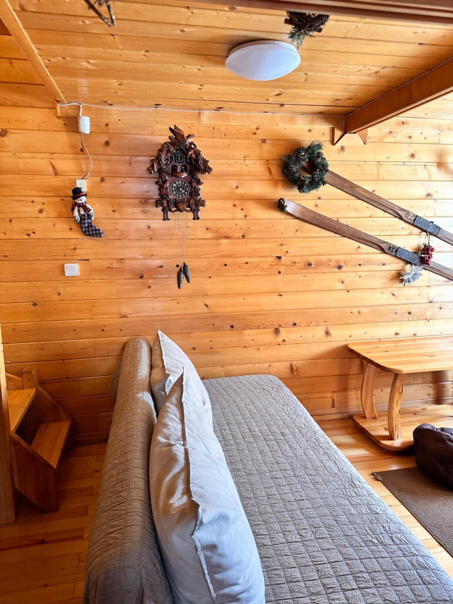 Alpine Ski Chalet Borovets With Sauna Extérieur photo