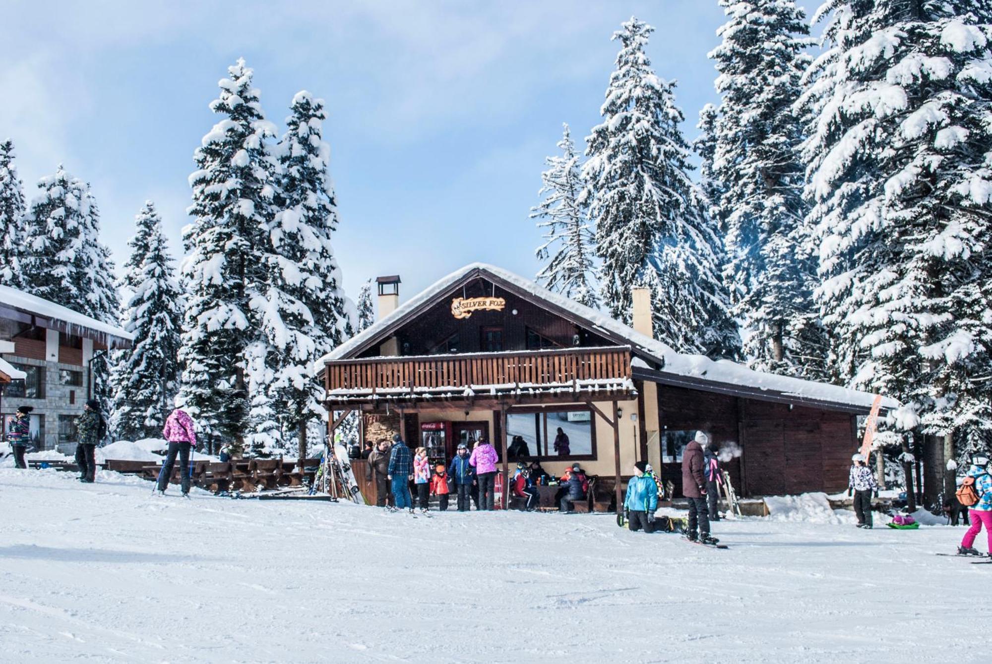 Villa Alpine Ski Chalet Borovets With Sauna Extérieur photo