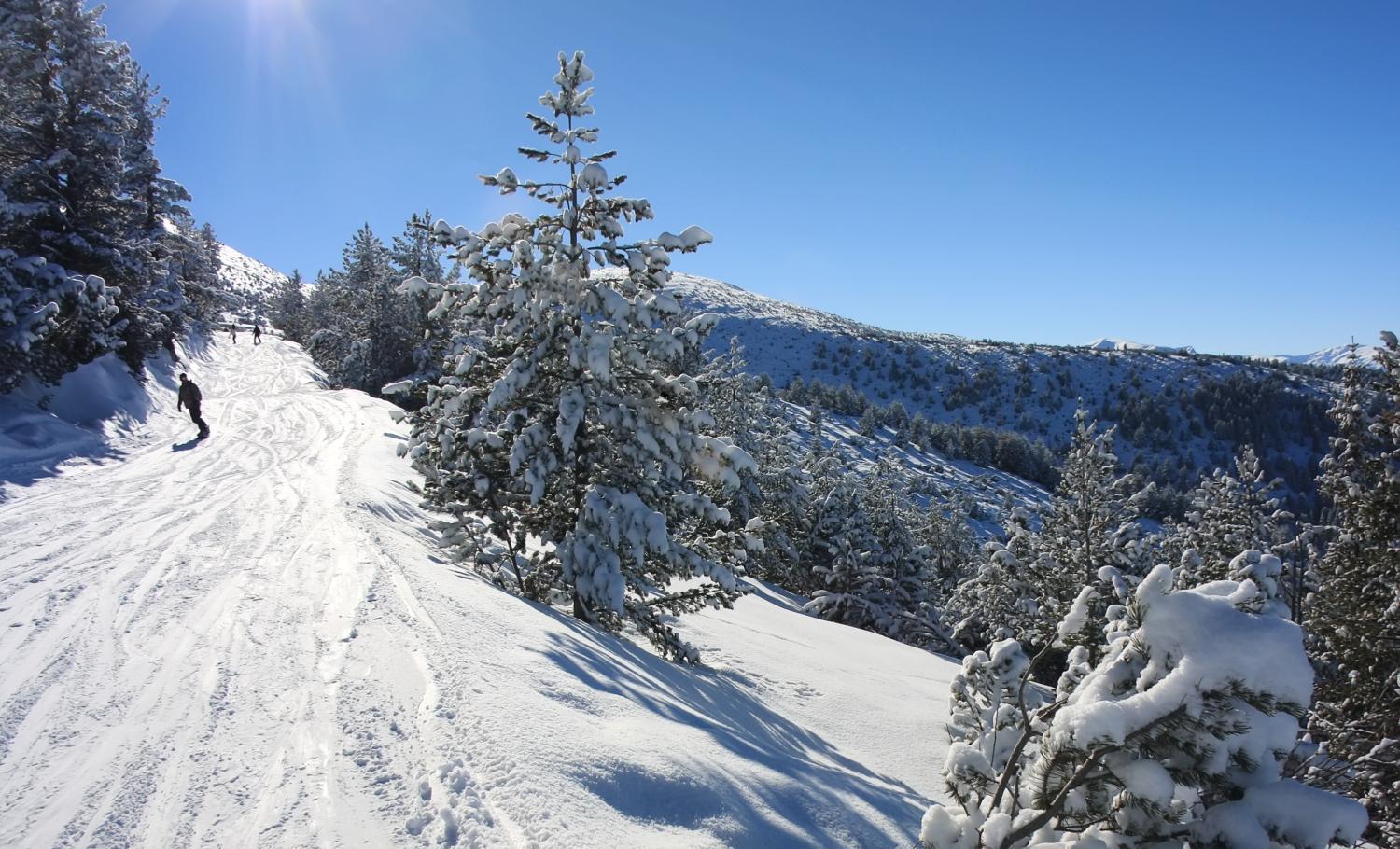Alpine Ski Chalet Borovets With Sauna Extérieur photo
