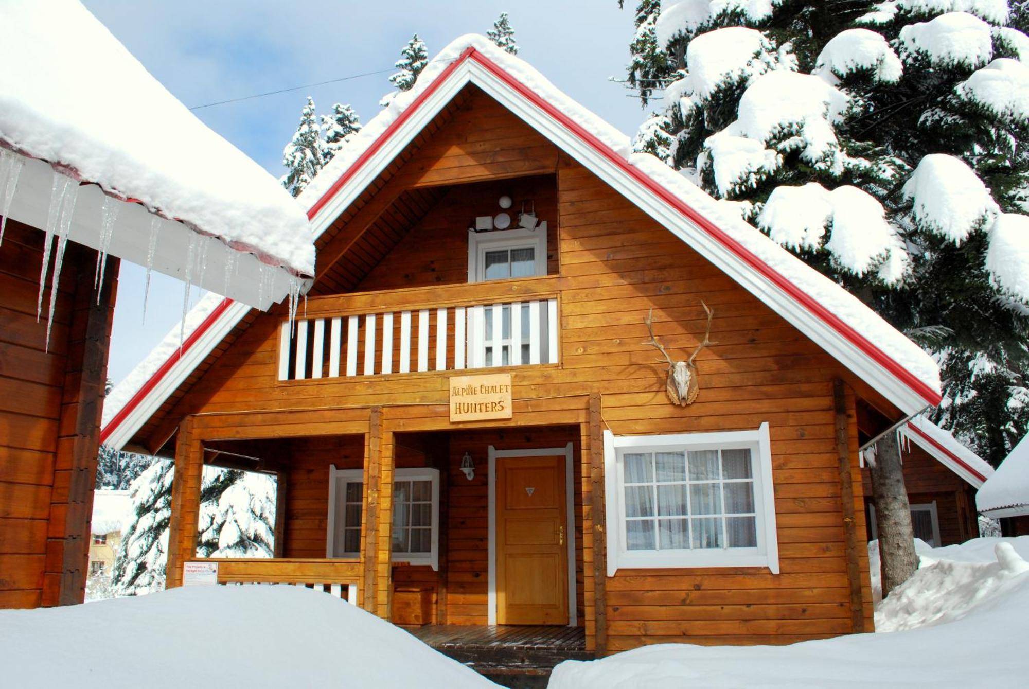 Villa Alpine Ski Chalet Borovets With Sauna Extérieur photo