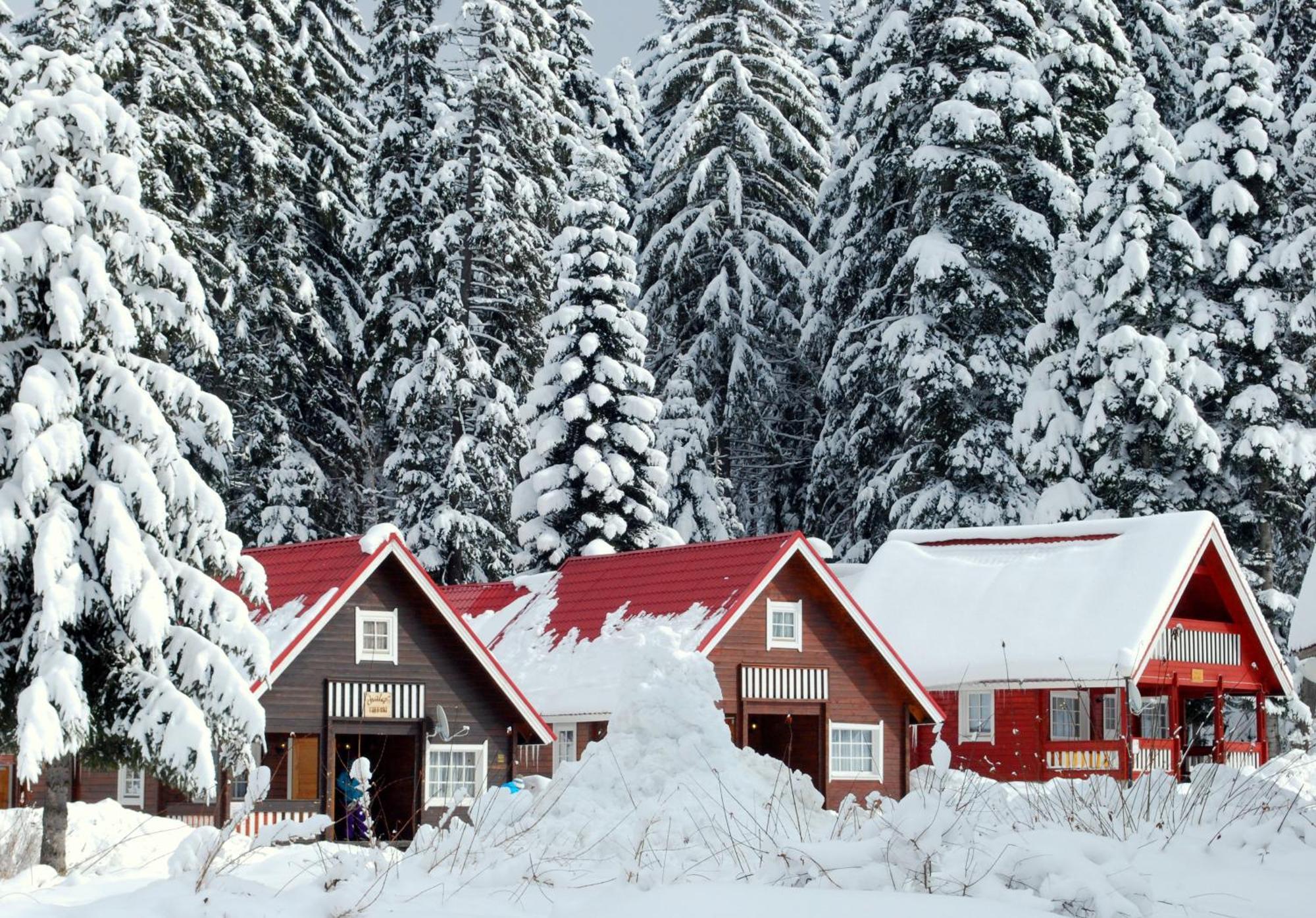 Alpine Ski Chalet Borovets With Sauna Extérieur photo