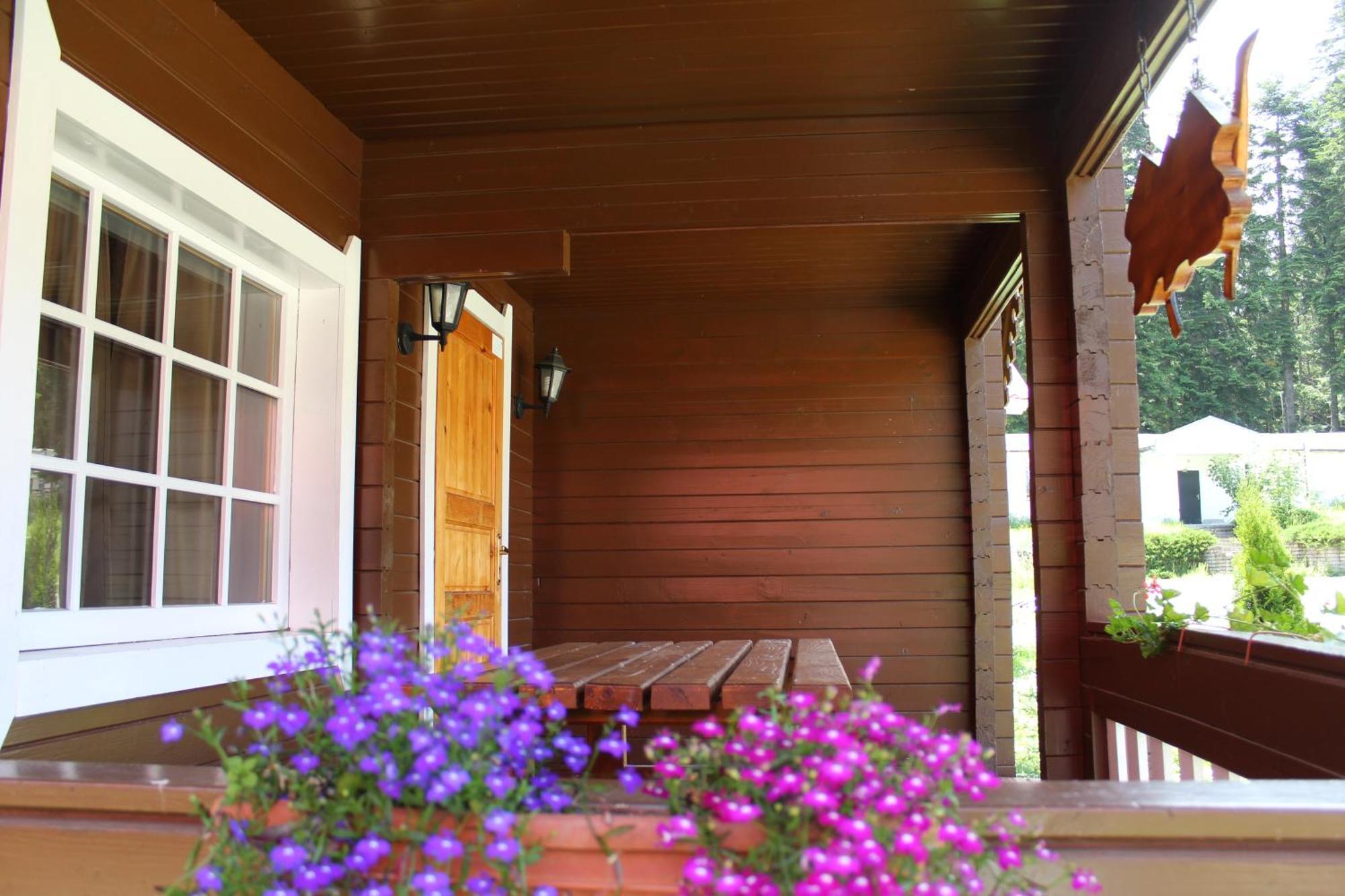 Alpine Ski Chalet Borovets With Sauna Extérieur photo