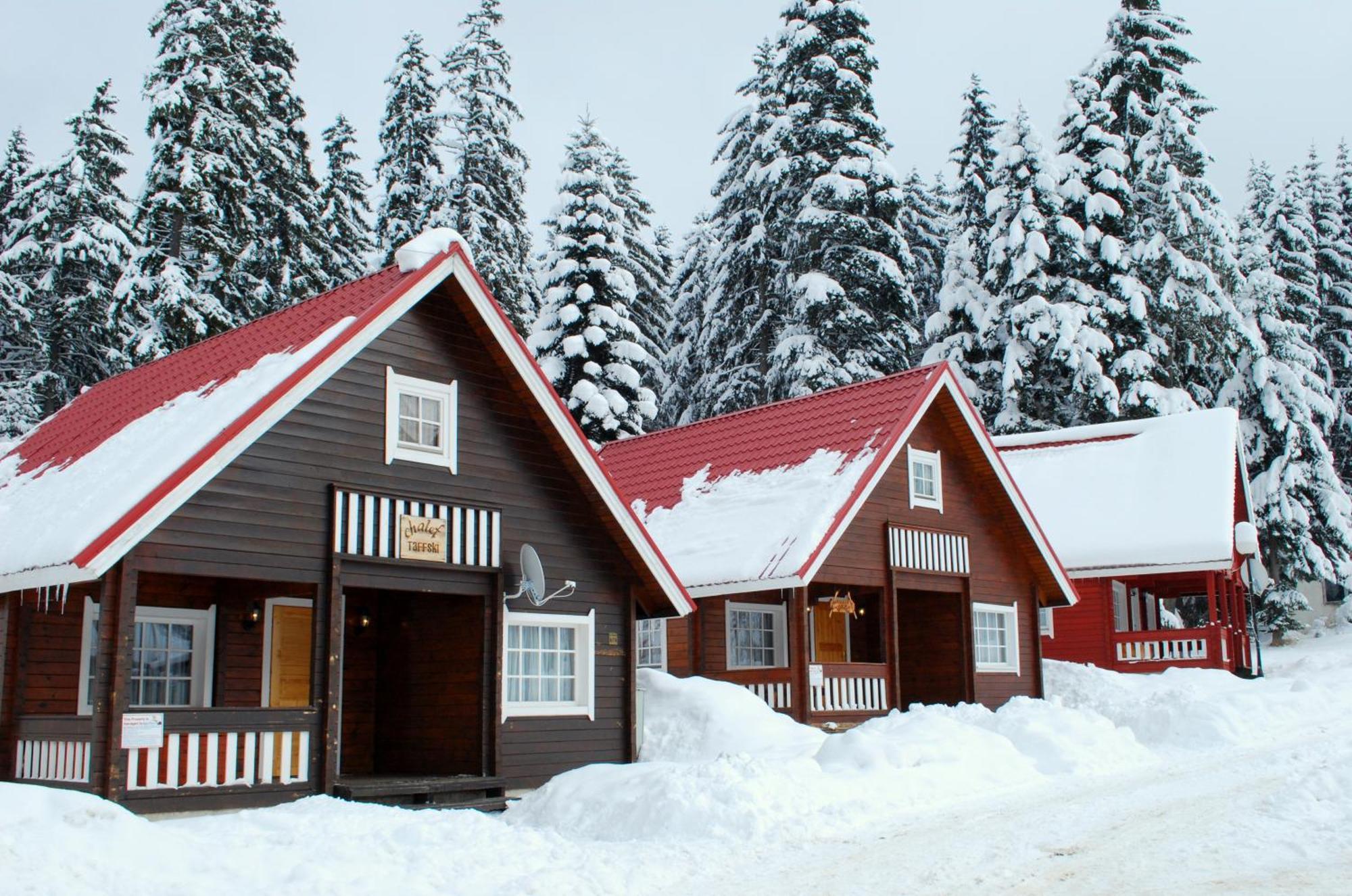 Alpine Ski Chalet Borovets With Sauna Extérieur photo