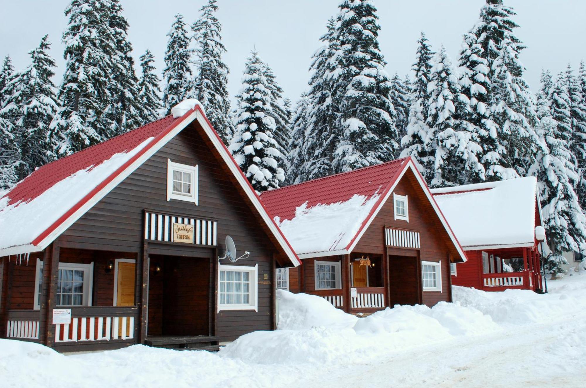 Villa Alpine Ski Chalet Borovets With Sauna Extérieur photo