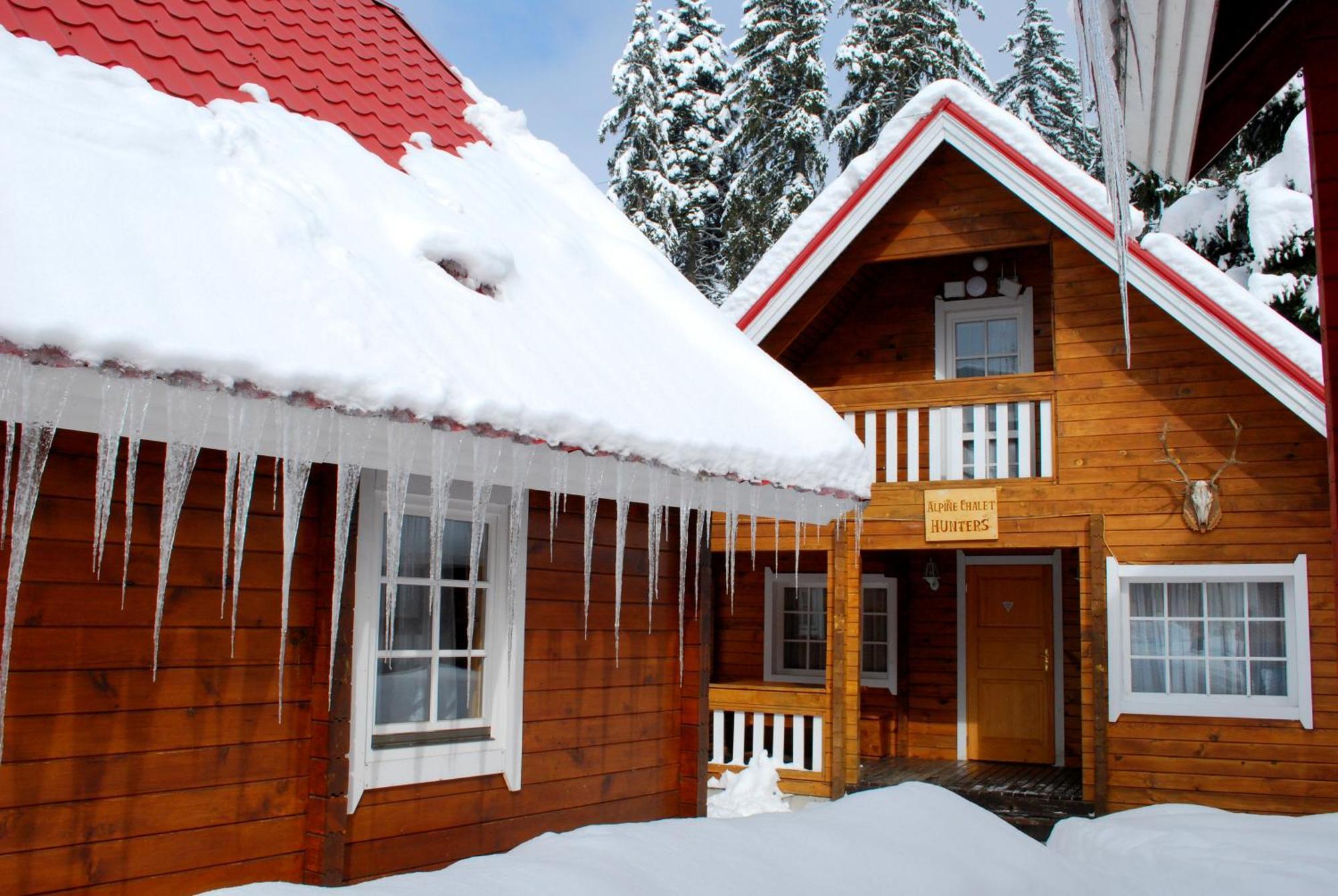 Villa Alpine Ski Chalet Borovets With Sauna Chambre photo